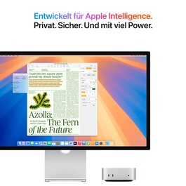 Mac mini: Apple M4 Chip mit 10‑Core CPU und 10‑Core GPU, 256 GB SSD - Silber