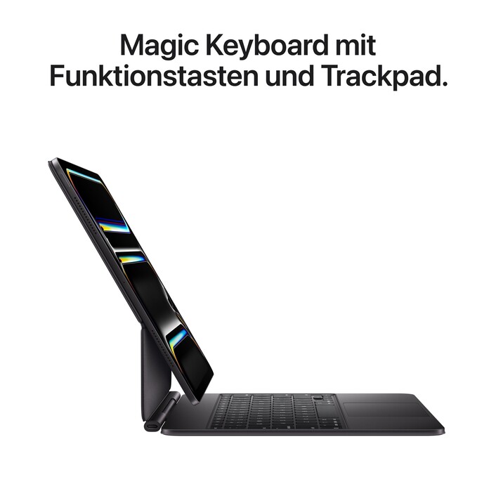 13" iPad Pro Wi-Fi 256 GB Standardglas - Space Schwarz (M5)