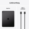 13" iPad Pro Wi-Fi 256 GB Standardglas - Space Schwarz (M5)