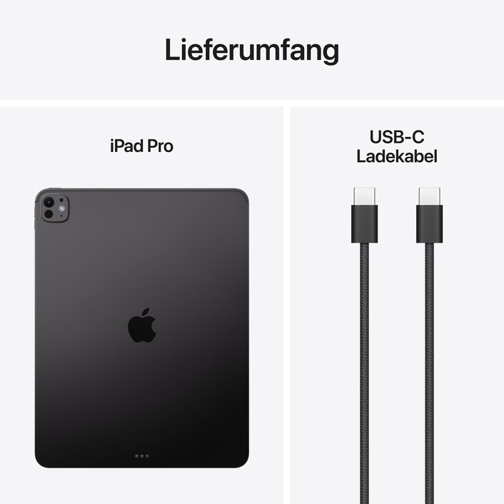 13" iPad Pro Wi-Fi 256 GB Standardglas - Space Schwarz (M5)
